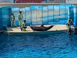 新江ノ島水族館に投稿された画像（2024/8/19）