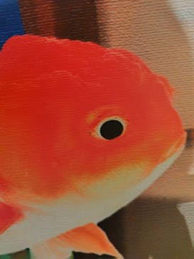 NARA KINGYO MUSEUMに投稿された画像（2024/8/19）