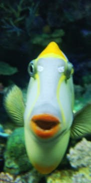 サンシャイン水族館に投稿された画像（2024/8/19）