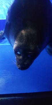 サンシャイン水族館に投稿された画像（2024/8/19）