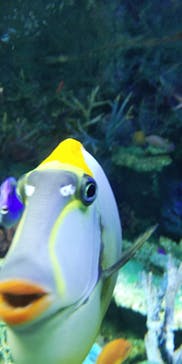 サンシャイン水族館に投稿された画像（2024/8/19）