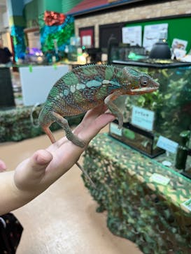 いきもの探検隊上尾に投稿された画像（2024/8/19）