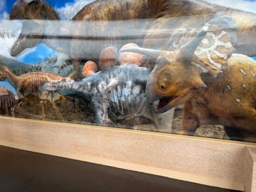 福井県立恐竜博物館に投稿された画像（2024/8/19）