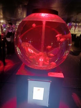 夢みなとタワーに投稿された画像（2024/8/19）