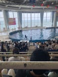 アクアワールド茨城県大洗水族館に投稿された画像（2024/8/20）