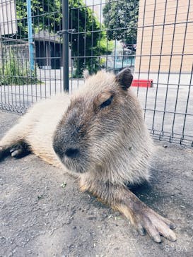 日立市かみね動物園に投稿された画像（2024/8/19）