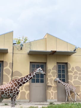 日立市かみね動物園に投稿された画像（2024/8/19）