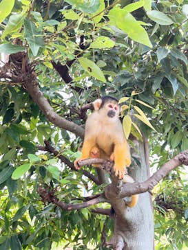 日立市かみね動物園に投稿された画像（2024/8/19）
