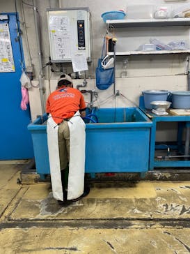 しながわ水族館に投稿された画像（2024/8/19）