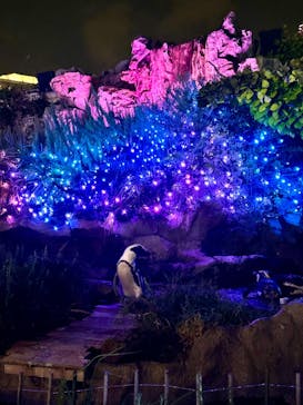 サンシャイン水族館に投稿された画像（2024/8/19）