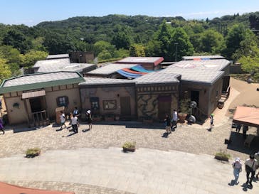 ニジゲンノモリに投稿された画像（2024/8/19）