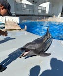 九十九島水族館海きららに投稿された画像（2024/8/20）