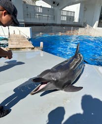 九十九島水族館海きららに投稿された画像（2024/8/19）