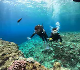 武藤潜水に投稿された画像（2024/8/20）