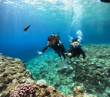 武藤潜水に投稿された画像（2024/8/20）