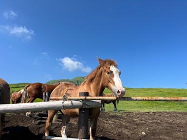 阿蘇カドリー・ドミニオンに投稿された画像（2024/8/20）