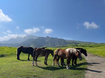阿蘇カドリー・ドミニオンに投稿された画像（2024/8/20）