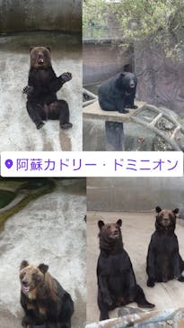 阿蘇カドリー・ドミニオンに投稿された画像（2024/8/20）