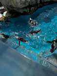 仙台うみの杜水族館に投稿された画像（2024/8/20）