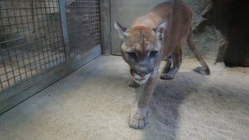 神戸どうぶつ王国に投稿された画像（2024/8/20）