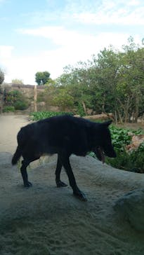 神戸どうぶつ王国に投稿された画像（2024/8/20）