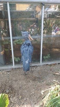 神戸どうぶつ王国に投稿された画像（2024/8/20）