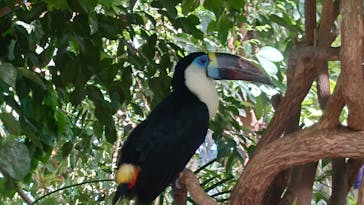 神戸どうぶつ王国に投稿された画像（2024/8/20）