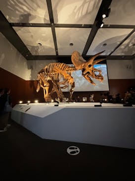 DinoScience 恐竜科学博 ～ララミディア大陸の恐竜物語～ 2024@OSAKAに投稿された画像（2024/8/20）