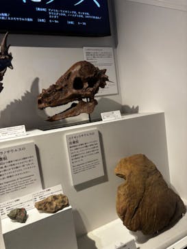 DinoScience 恐竜科学博 ～ララミディア大陸の恐竜物語～ 2024@OSAKAに投稿された画像（2024/8/20）