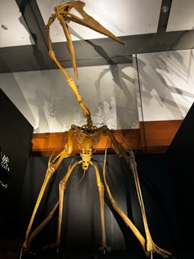 DinoScience 恐竜科学博 ～ララミディア大陸の恐竜物語～ 2024@OSAKAに投稿された画像（2024/8/20）
