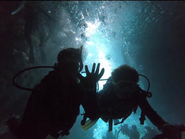 武藤潜水に投稿された画像（2024/8/20）