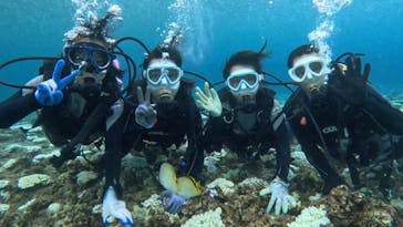 青の洞窟専門店　沖縄ダイビングショップ和に投稿された画像（2024/8/20）