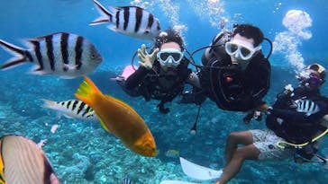 青の洞窟専門店　沖縄ダイビングショップ和に投稿された画像（2024/8/20）