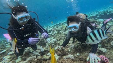 青の洞窟専門店　沖縄ダイビングショップ和に投稿された画像（2024/8/20）