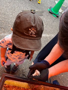 トミカ博 in APPI 安比プラザ 屋内特設会場に投稿された画像（2024/8/20）