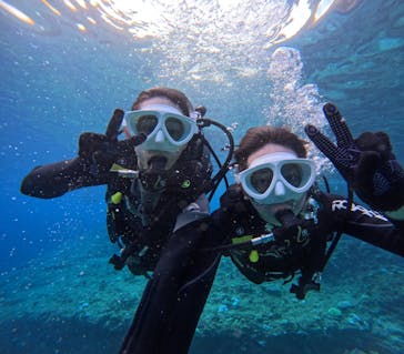 沖縄マリンサービス碧に投稿された画像（2024/8/20）