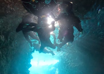 武藤潜水に投稿された画像（2024/8/20）