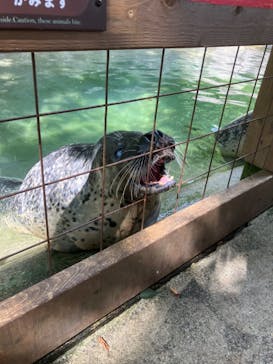 那須どうぶつ王国に投稿された画像（2024/8/20）