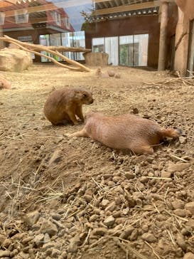 那須どうぶつ王国に投稿された画像（2024/8/20）