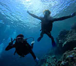 武藤潜水に投稿された画像（2024/8/20）