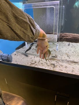 のとじま水族館に投稿された画像（2024/8/20）