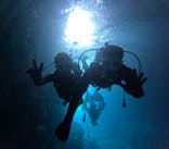 沖縄マリンサービス碧に投稿された画像（2024/8/20）