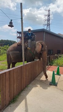 那須ワールドモンキーパークに投稿された画像（2024/8/20）