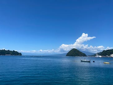 伊豆・三津シーパラダイスに投稿された画像（2024/8/20）