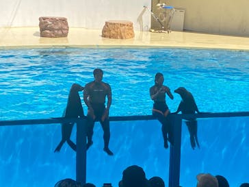 伊豆・三津シーパラダイスに投稿された画像（2024/8/20）