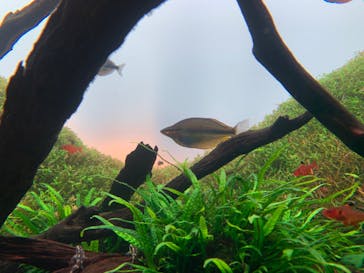 AOAO SAPPOROに投稿された画像（2024/8/20）