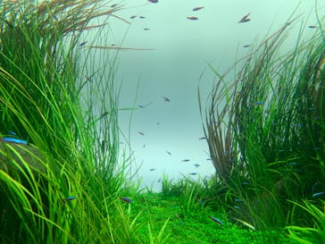 AOAO SAPPOROに投稿された画像（2024/8/20）