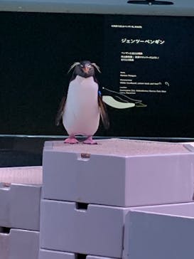 AOAO SAPPOROに投稿された画像（2024/8/20）