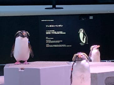 AOAO SAPPOROに投稿された画像（2024/8/20）