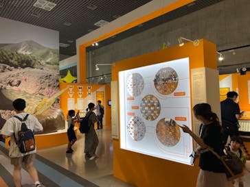特別展「昆虫 MANIAC」（国立科学博物館）に投稿された画像（2024/8/20）